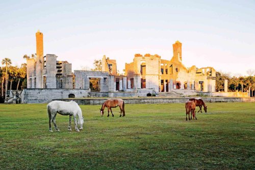 This quiet Georgia barrier island has wild horses and empty beaches