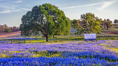 Top 5+ rustic, romantic weekend getaways for couples in Texas Hill Country