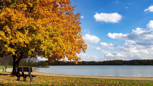 Nestled between Chicago and Toledo is Indiana's popular state park for scenic trails, fishing, and camping