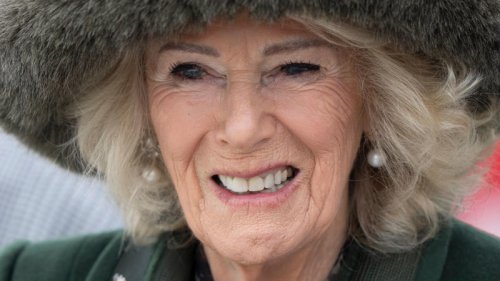 Queen Camilla just styled her &pound;2.6k Dior bag with knee-high boots from John Lewis