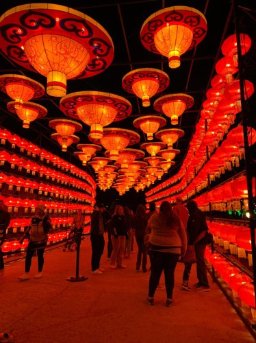 John Ball Zoo Lantern Festival returns. What to expect in 2026