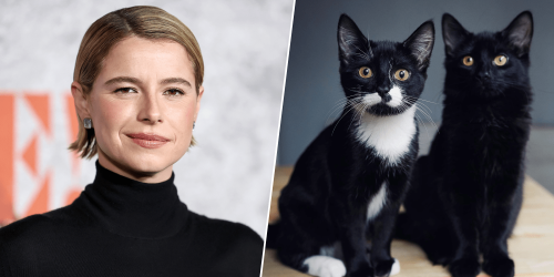 Jessie Buckley gave her husband an ultimatum about his cats and the internet is purring about it