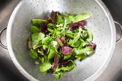 Every expert we spoke to says you&rsquo;re storing lettuce wrong &mdash; keep it crisp for longer with these tricks