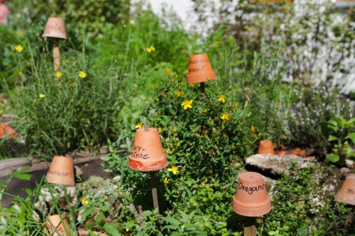 Top 7+ creative ways to reuse old flower pots