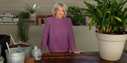 Exclusive: Martha Stewart&rsquo;s thoughts on that Costco greenhouse, and how she cares for her 30-year-old orchids