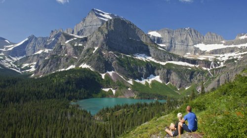 The 5 American states to visit with the fewest snakes