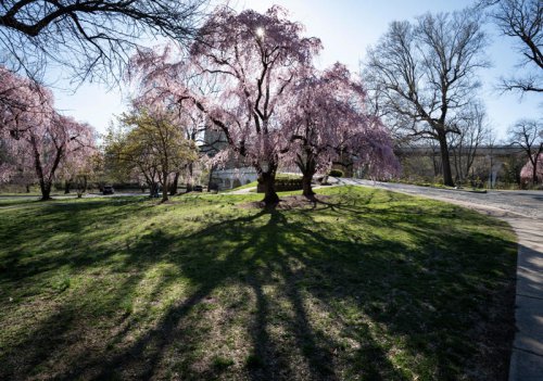 These Delaware parks were named some of the best 'micro-escapes' in US