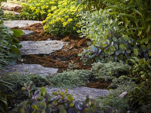 Top 10+ low-cost DIY garden path ideas to boost curb appeal for less