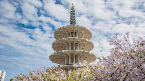 San Francisco's vibrant neighborhood is 'a portal to the rich tapestry of Japanese culture'