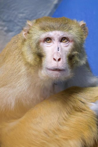 After crushing winter, Popcorn Park Animal Refuge now open daily