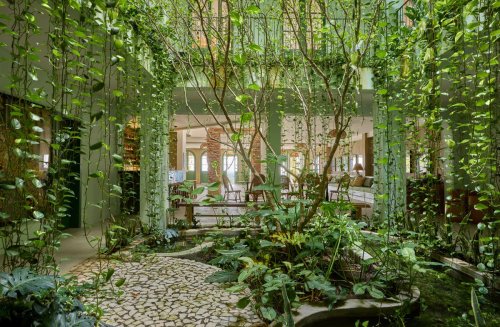 Top 5+ gardening trends that prove low-maintenance doesn't mean boring