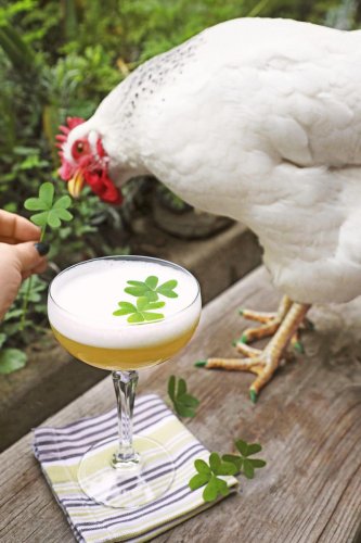 Celebrate St. Patrick&rsquo;s Day with a traditional Irish dinner