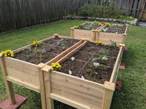 Gardening pros recommend this method to maximize your space