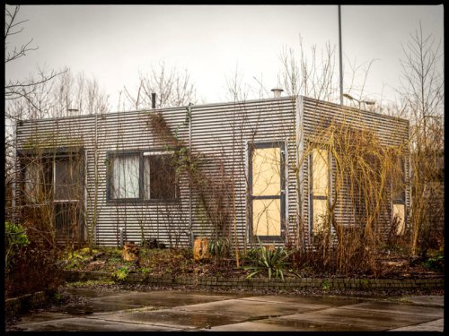 I moved into a tiny home village at age 37 with my son. His childhood is so free that we've stayed for 7 years