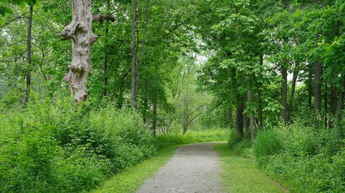 Michigan's quaint Downriver city is an outdoor hub for camping and hiking with a charming downtown