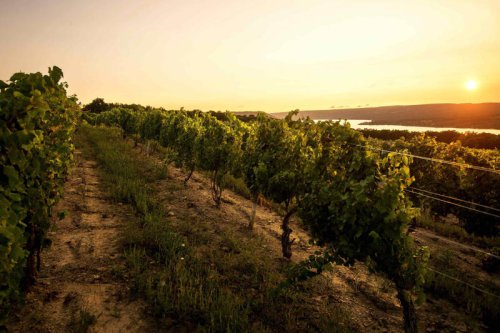 Burgundy&rsquo;s most famous idea about wine is now taking root in New York's Finger Lakes