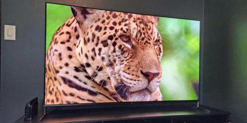 Our top picks for the best Sony TVs, Best overall, Best high-end QLED, Best midrange QLED, How we test Sony TVs, Meet the expert behind this guide:, Sony TV FAQs, Best Sony TVs of 2026