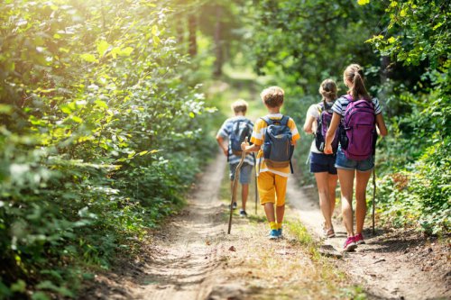Go for a Nature Walk or Hike, Try a Color Scavenger Hunt , Search for Backyard Bugs, Play Tag Variations, Create a Nature Collage, Set Up an Obstacle Course, Build a Fairy House, Play Capture the Flag, Help With Gardening, Outdoor Storytime , Ride Bikes or Scooters, Play &ldquo;What Time Is It, Mr. Fox?&rdquo;, Pitch In With Outdoor Chores , Make a Mud Kitchen, Go Stargazing , Fun, screen-free outdoor activities kids will actually want to do