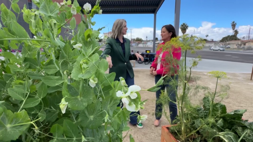 Las Vegas woman inspires students to care for the planet
