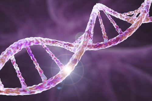 Scientists will create a synthetic human genome