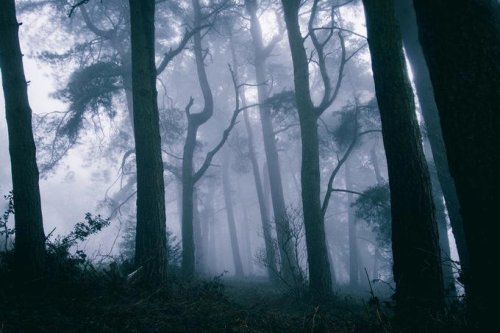 Top 75+ Mind-Blowing Facts You&rsquo;ll Think Are Made Up (But Aren&rsquo;t)