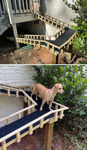 Top 38+ times dogs deserved only the best dog houses and people accepted the challenge