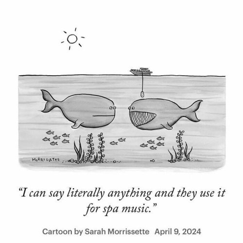 Top 30+ Clever Comics That Poke Fun At Our Society By Sarah Morrissette