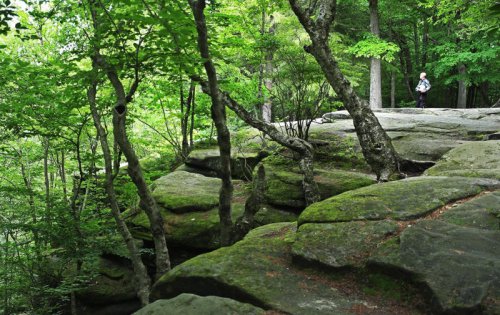 Not all national parks charge for entry. These 12 are free