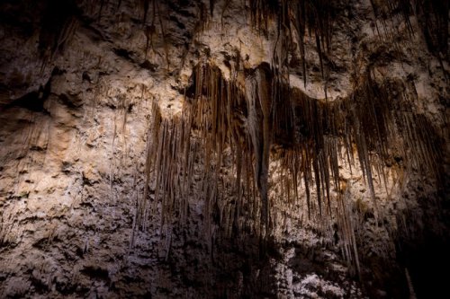 Planning a visit to Carlsbad Caverns National Park? Here&rsquo;s what you need to know