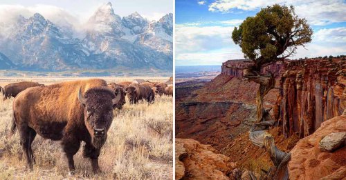 Top 21+ Photos From Lesser-Known National Parks That Are Stunning