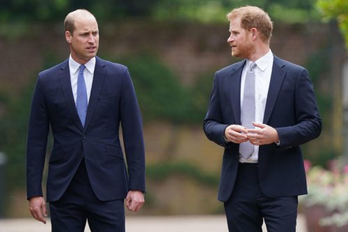 The Real Reason Prince Harry and Prince William Won't Inherit Princess Diana&rsquo;s Childhood Home