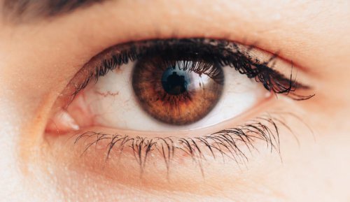 Top 10+ Daily Habits to Protect Your Eyes and Vision
