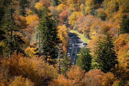Is Newfound Gap Road in Great Smoky Mountains National Park open amid government shutdown?
