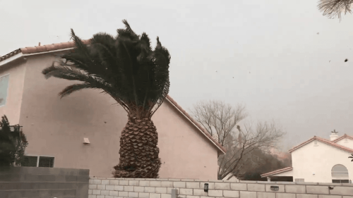 Las Vegas could see stormy weather, gusty winds