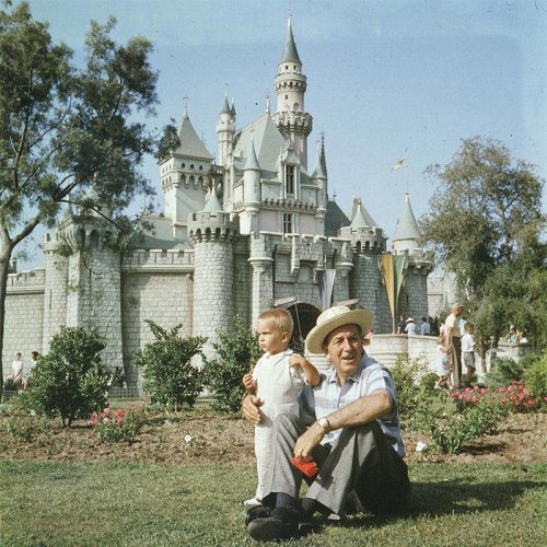 Top 27+ rare photos that show how much Disney parks have changed through the years