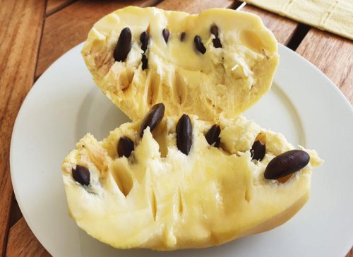What&rsquo;s a Pawpaw? The Fruit Your Great-Grandma Loved&mdash;And Foragers Keep Secret
