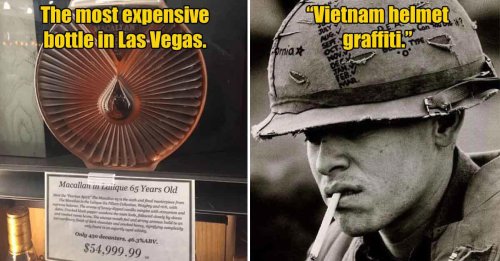 Top 21+ Seldom-Seen Photos of Our Random World