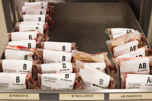 It's Quick and Easy to Check Your Blood Type. Here's How I Found Out Mine
