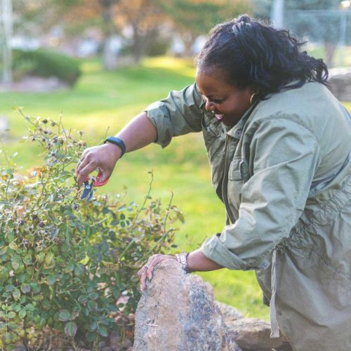 Top 10+ Perennials You Should Cut Back Every Fall (And 5 to Let Be)