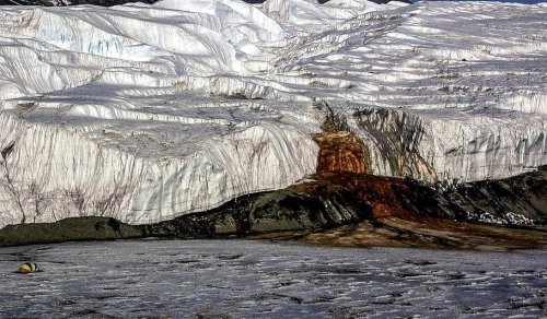 Scientists solve mystery of Antarctica's 'bleeding waterfalls'