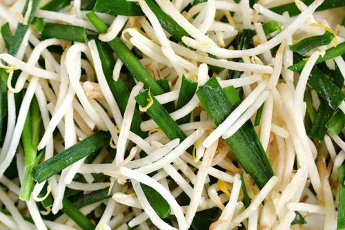 「冷凍にらもやし」のレシピ, 調理時間, 分量, 材料, 手順, ポイント, 「冷凍にらもやし」の使い道, ナムル, スープ, 焼きそば, 「冷凍にらもやし」を活用しよう♪, 「にら」と「もやし」はあわせて「冷凍」しよう♪使い道も紹介!