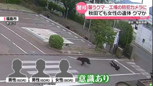 襲いかかるクマ&hellip;福島市で工場の防カメに 秋田市ではクマに襲われたとみられる女性遺体