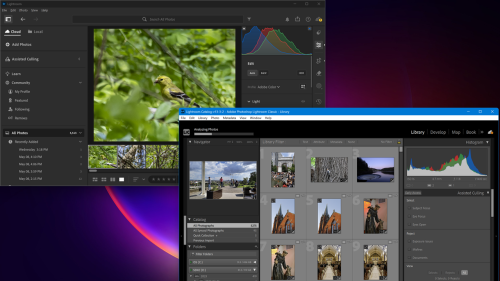 Cost: One Subscription, Two Apps, Interface and Ease of Use: Lightroom Wins on Simplicity, Importing and Raw Support: No Significant Differences, Photo Organization: Catalogs vs. Cloud Libraries, Photo Search: Lightroom's AI Gives It the Edge, Editing: Both Have All the Tools You Need, AI Tools: Both Benefit From Adobe's Latest Advances, Professional Capabilities: Classic Still Owns the Pro Workflow, Output and Printing: Classic Remains the Better Finisher, Collaboration, Community, and Help: Lightroom Broadens Your Creative Horizons, Mobile App and Syncing: Lightroom Is Built for Access Everywhere, Web App: Surprisingly Powerful on Either Platform, Adobe Lightroom vs. Lightroom Classic: Here's how to know which one you actually need
