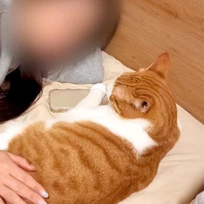 『飼い主の彼女』のことが大好きなネコたち&rarr;愛おしすぎる『まるで恋人のような行動』が12万再生「順番待ちしていて可愛い」「彼氏気分」