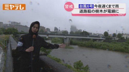 【台風6号】宮城では3日夜遅くまで雨が降り続く見込み、仙台市青葉区では木が電線に引っかかり撤去作業
