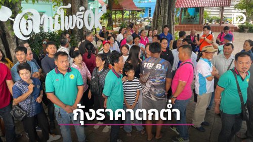 บุกกรมประมงเกษตรกรจี้ช่วยเหลือราคากุ้งตกต่ำ เผยราคาต้นทุนสูงกว่าราคาขายปากบ่อ