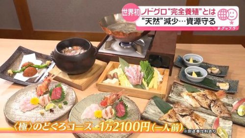 世界初！ノドグロ&ldquo;完全養殖&rdquo; 漁獲量が減少&hellip;資源守る 成功を支えた&ldquo;富山湾の海水&rdquo;