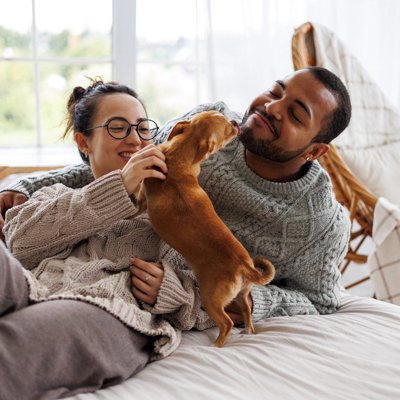 犬が「友達だと思っている人」にみせる5つの行動, 1.お腹を見せてゴロンとする, 2.お気に入りのおもちゃを持ってくる, 3.体をピタッとくっつけてくる, 4.優しくじっと見つめてくる, 5.あくびを真似する, 犬にとっての「友達」とは？, もっと仲良くなるためのコツ, まとめ, 犬が『友達だと思っている人』にみせる行動5選 仲間だと認識しているときにみせるサインとは?