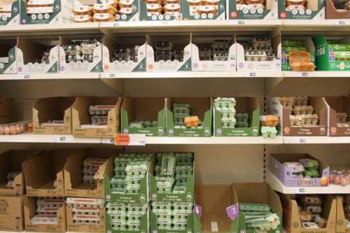 The science of eggs &ndash; and why you&rsquo;ve been buying the wrong ones
