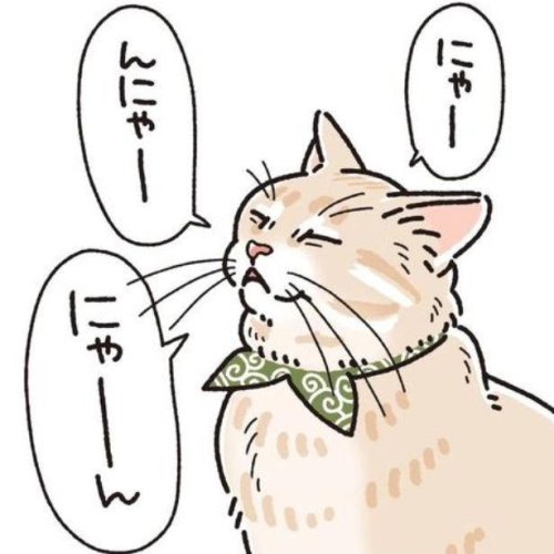 【ネコ漫画】「にゃんですと？」騙された愛猫の表情がかわいい！&ldquo;華麗な二度見&rdquo;に読者爆笑！【作者インタビュー】